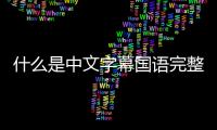 什么是中文字幕国语完整版
