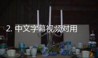 2. 中文字幕视频对用户的重要意义